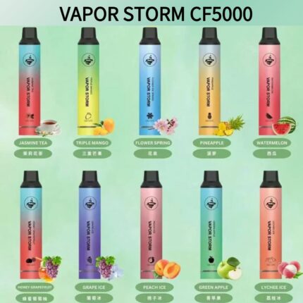 VAPOR STORM 5000口大容量|3%尼古丁|13款精選口味|酷炫燈光|台灣現貨|711到付